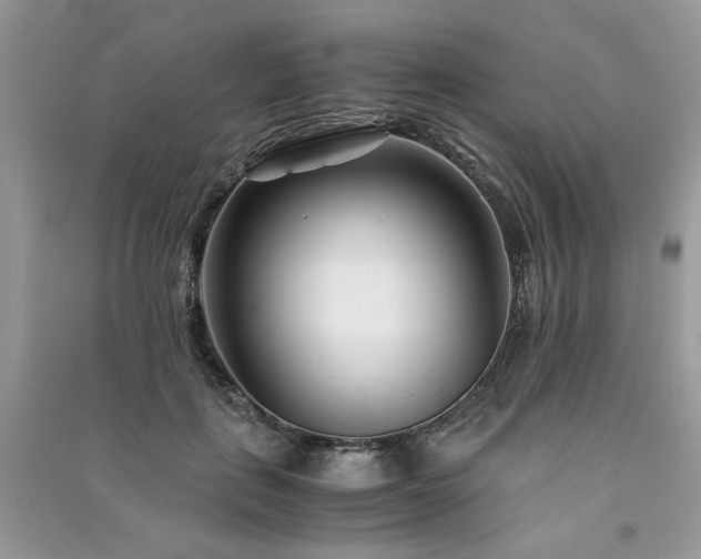 X0000091300651200708101309