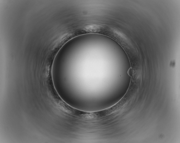 X0000091300652200708101309