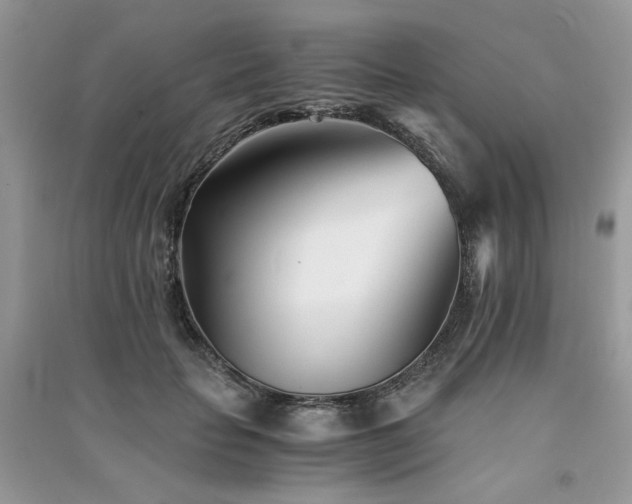 X0000091300653200708101309