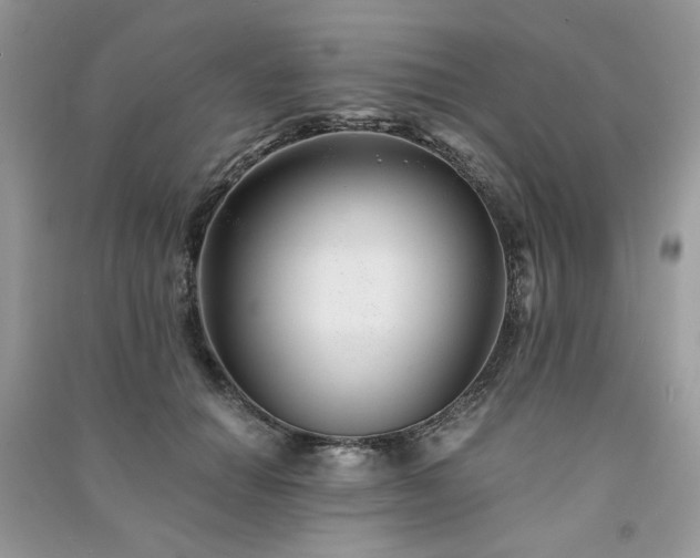 X0000091300654200708101309