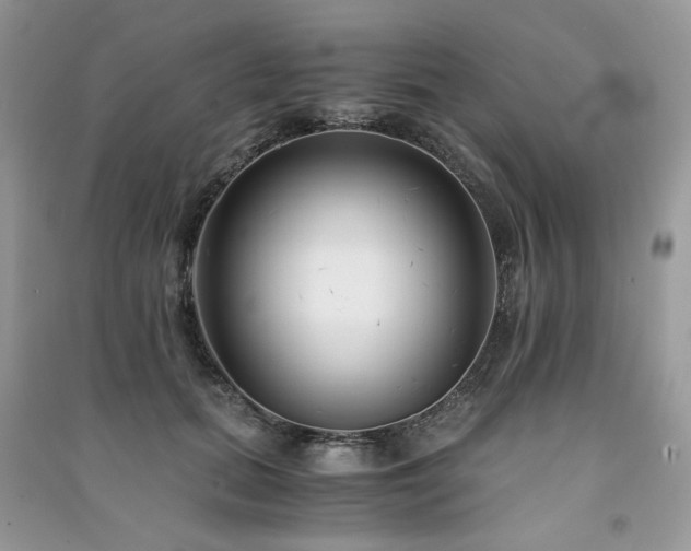X0000091300655200708101309