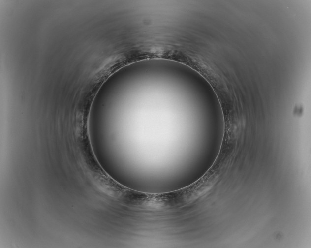 X0000091300656200708101309