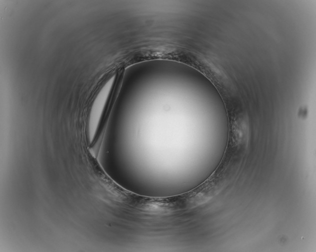 X0000091300657200708101309