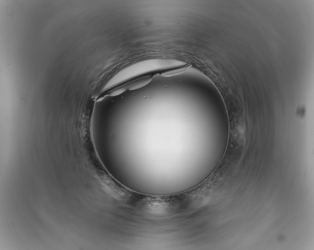 X0000091300658200708101309
