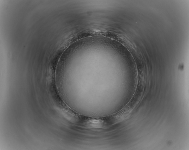 X0000091300659200708101309