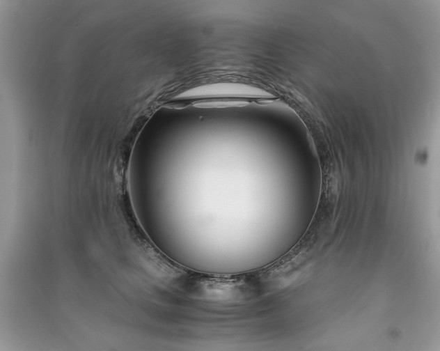 X0000091300661200708101309