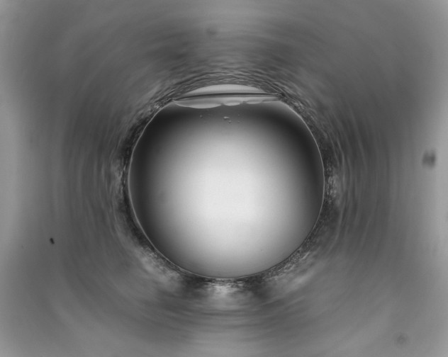 X0000091300662200708101309