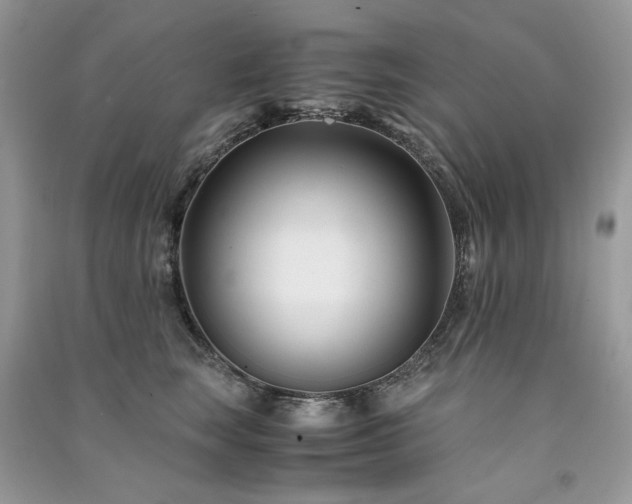 X0000091300663200708101309