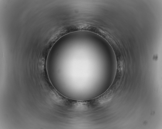 X0000091300664200708101309