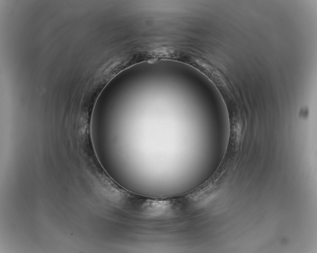X0000091300665200708101309