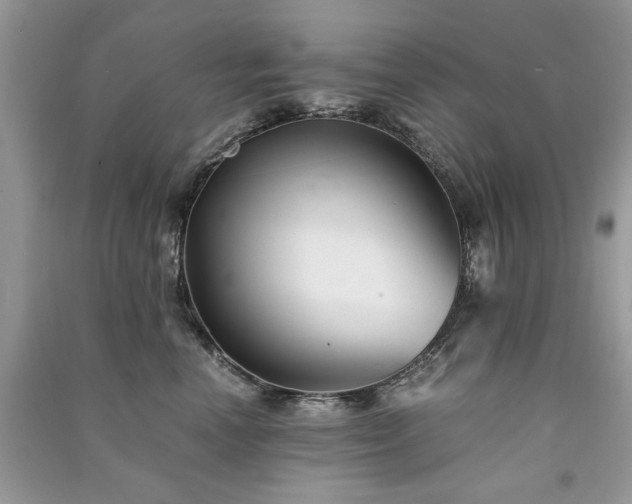 X0000091300666200708101309