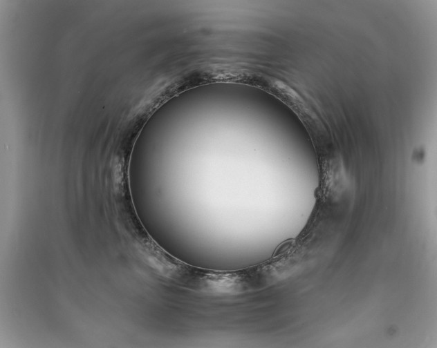 X0000091300667200708101309