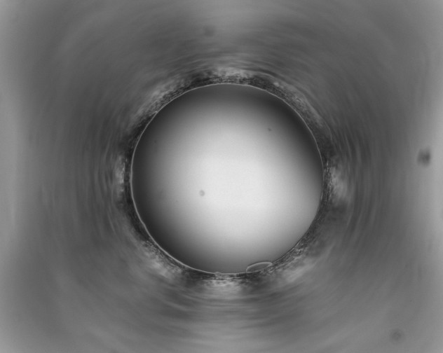 X0000091300668200708101309