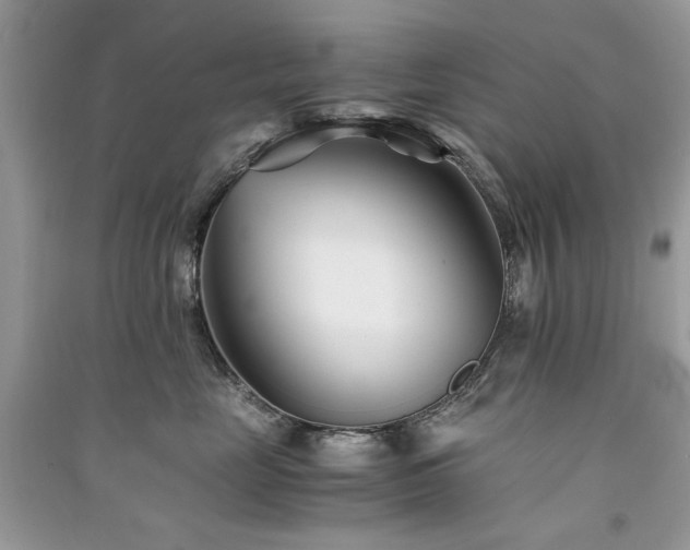 X0000091300669200708101309