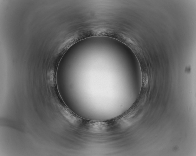 X0000091300670200708101309