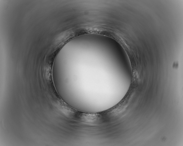 X0000091300671200708101309