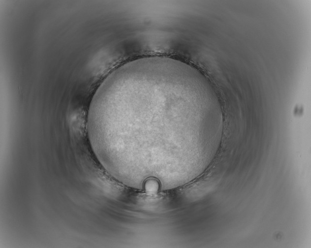 X0000091300672200708101309
