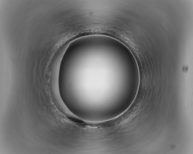 X0000091300673200708101308