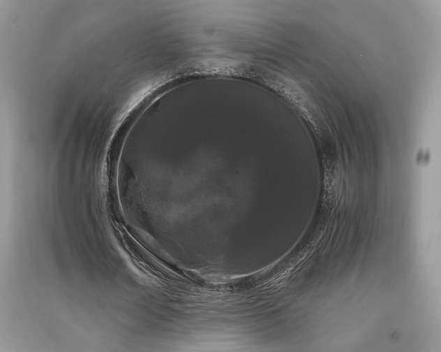 X0000091300674200708101308