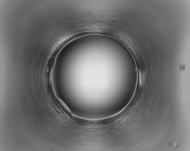 X0000091300675200708101308