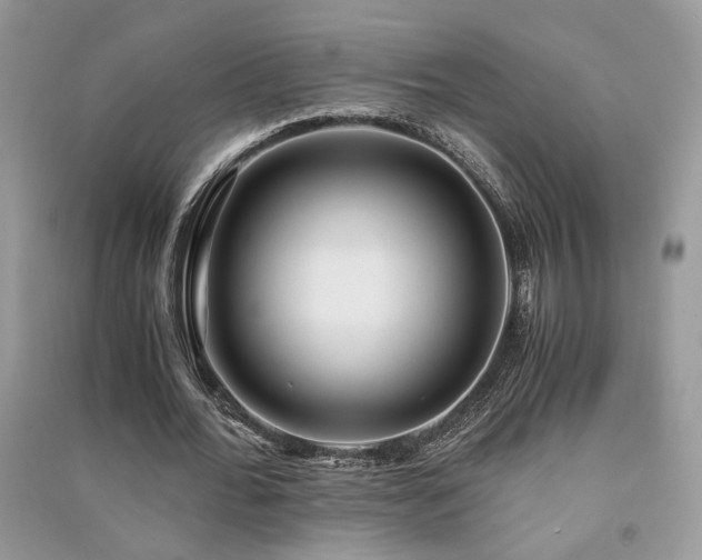 X0000091300676200708101308