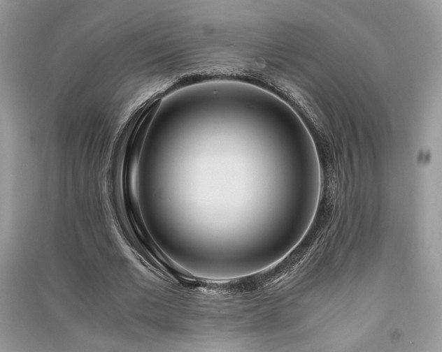 X0000091300677200708101308