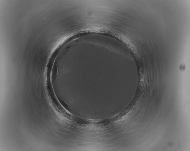 X0000091300678200708101308