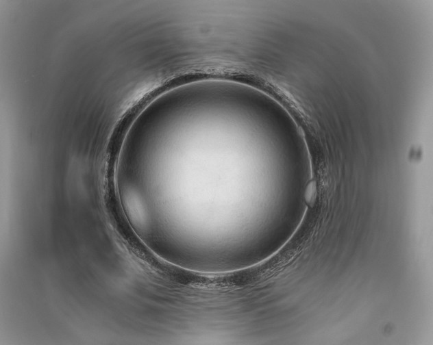X0000091300679200708101308