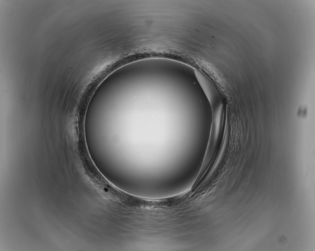 X0000091300680200708101308