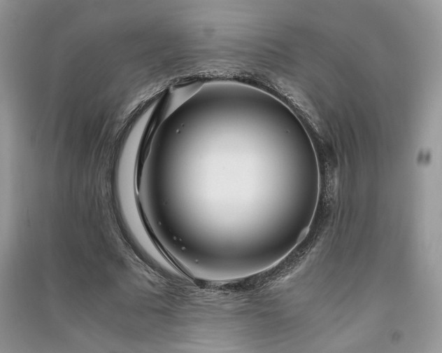 X0000091300681200708101308
