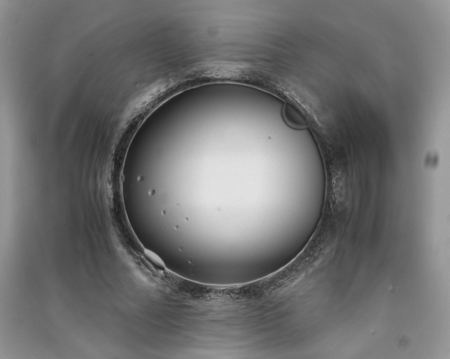 X0000091300682200708101308