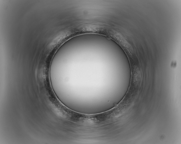 X0000091300683200708101308