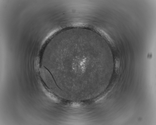 X0000091300684200708101308