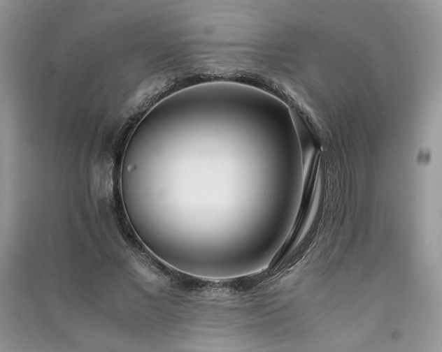 X0000091300685200708101308