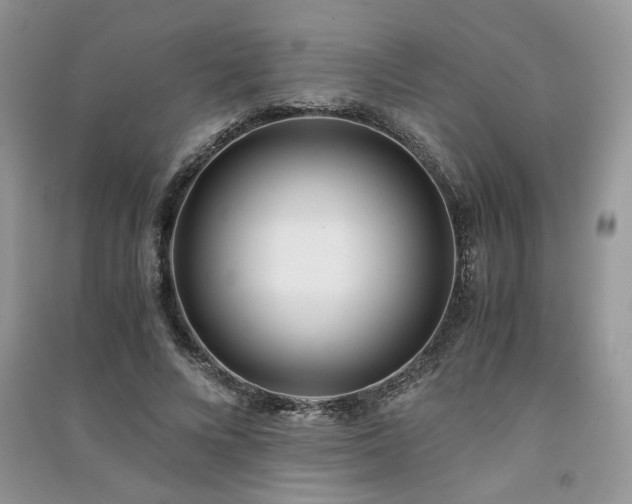 X0000091300688200708101308
