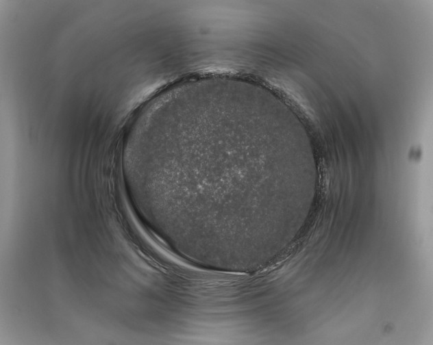 X0000091300692200708101308
