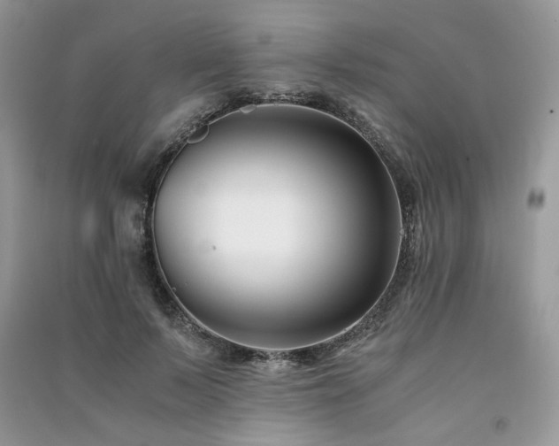 X0000091300695200708101308