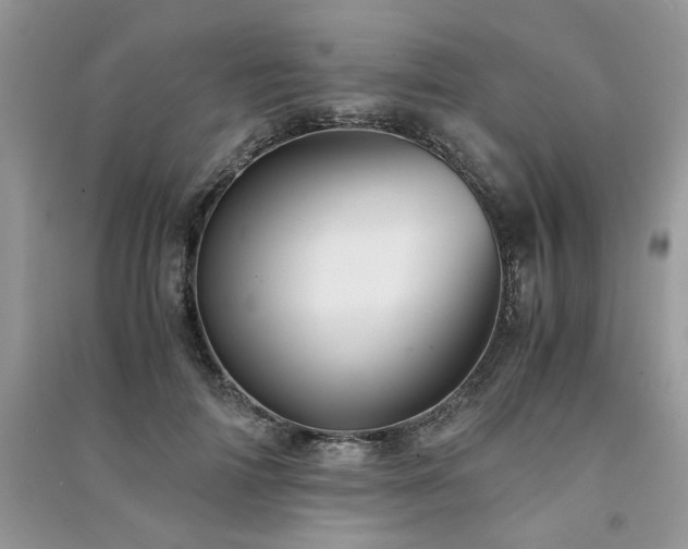 X0000091300698200708101308