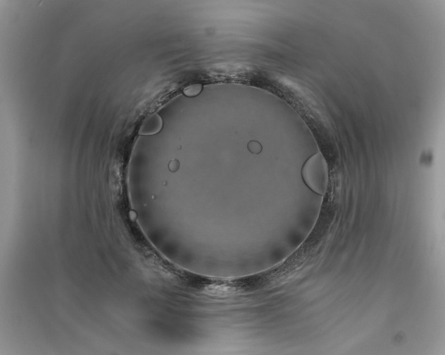 X0000091300699200708101308