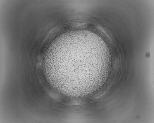 X0000091300701200708101308