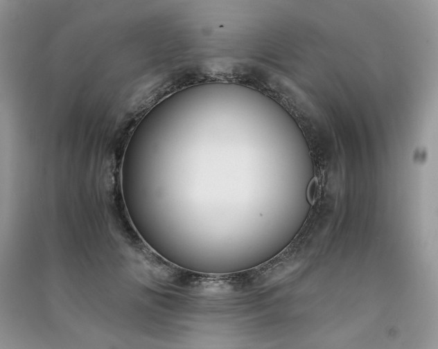 X0000091300702200708101308