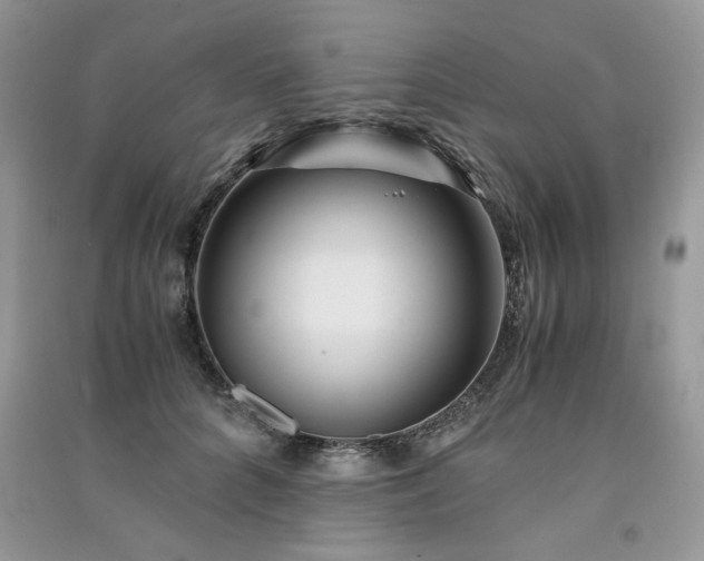 X0000091300704200708101308