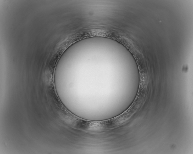 X0000091300705200708101308