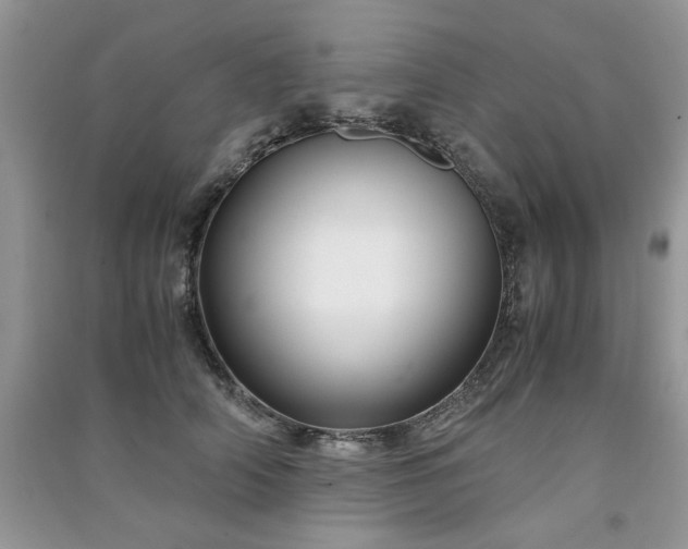 X0000091300706200708101308