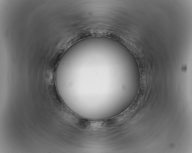 X0000091300709200708101308