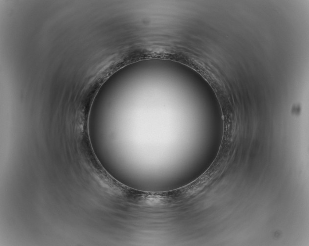 X0000091300710200708101308