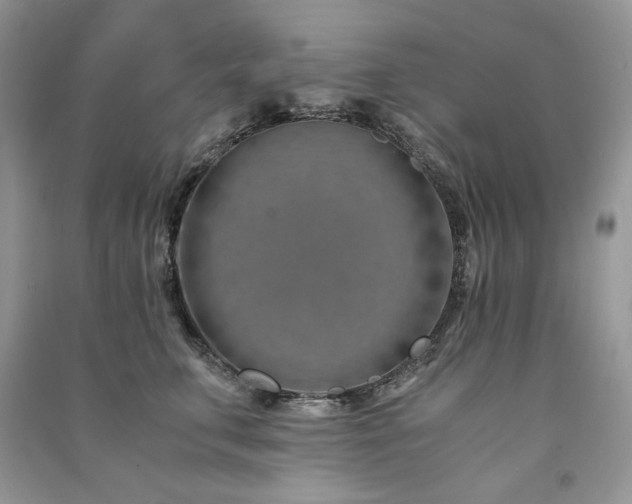 X0000091300711200708101308