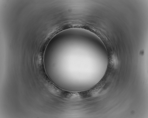 X0000091300715200708101308