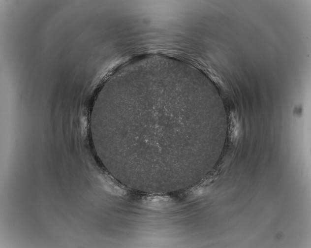 X0000091300716200708101308