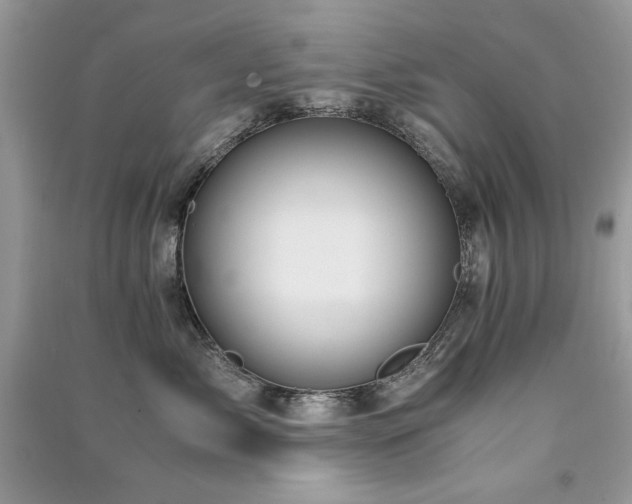 X0000091300717200708101308